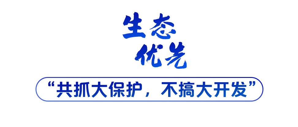 學(xué)習(xí)關(guān)鍵詞丨聽，長江經(jīng)濟(jì)帶高質(zhì)量發(fā)展“協(xié)奏曲”