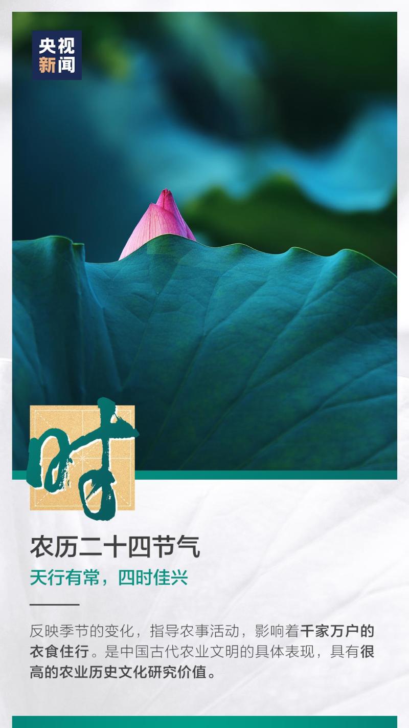 這也太浪漫了吧！