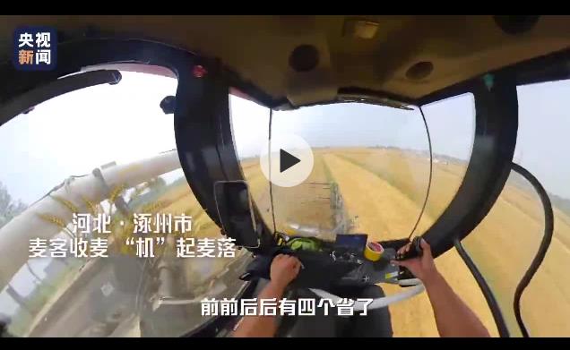 勞動(dòng)者視角看中國丨風(fēng)吹麥麥麥麥麥浪