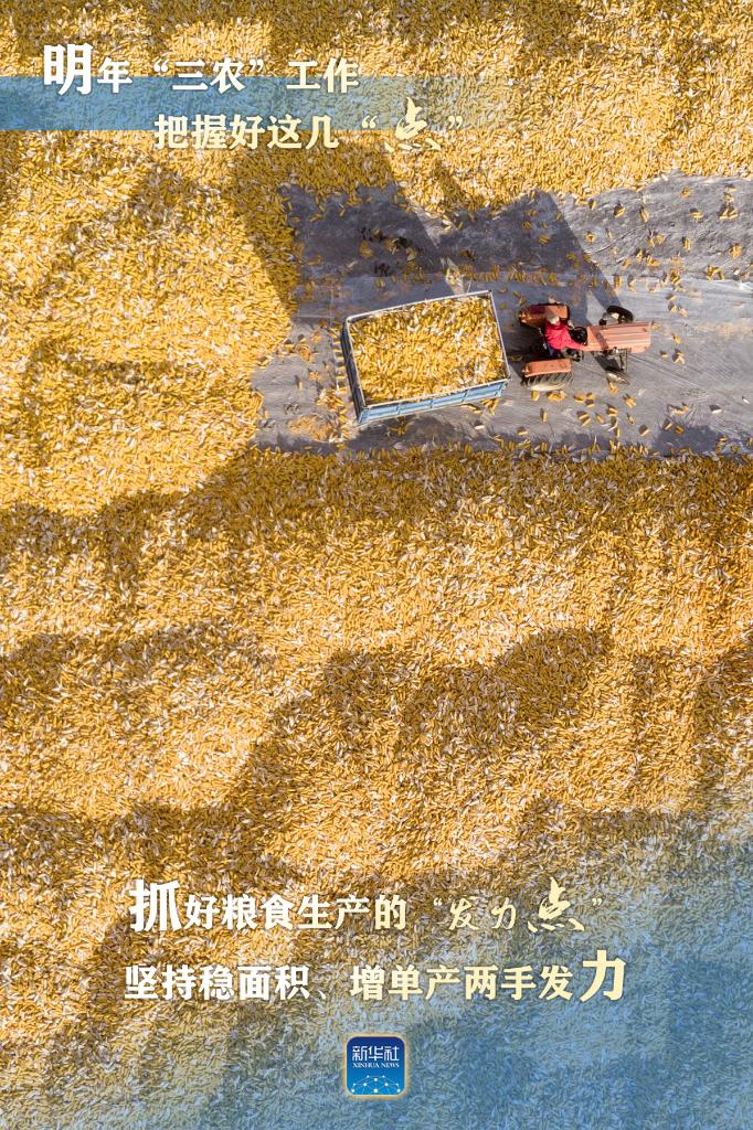 明年“三農”工作，這幾個“點”要把握好