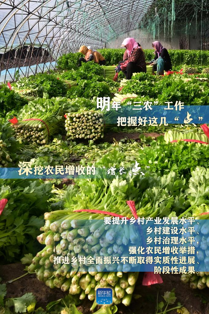 明年“三農”工作，這幾個“點”要把握好