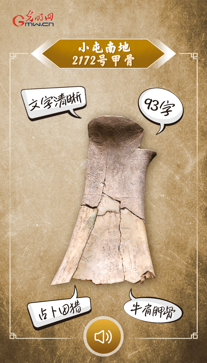 文物會說話 | 殷墟博物館新館開館啦，帶你奔赴“千年之約”