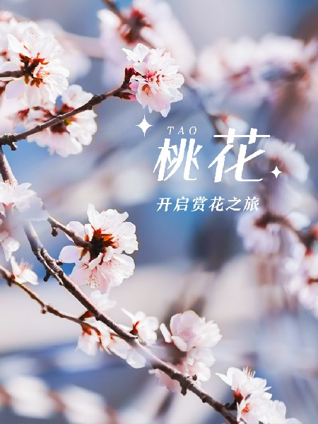 追花指南第三期！別等了 今天就去和桃花撞個(gè)滿懷