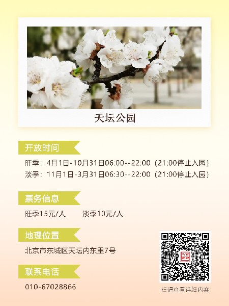 追花指南第六期！杏花雨 楊柳風(fēng) 北京最美的杏花在這里