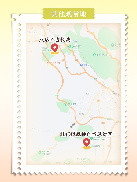 追花指南第六期！杏花雨 楊柳風(fēng) 北京最美的杏花在這里