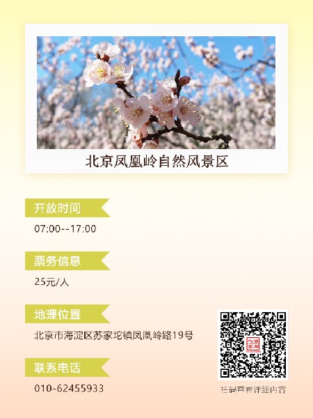 追花指南第六期！杏花雨 楊柳風(fēng) 北京最美的杏花在這里