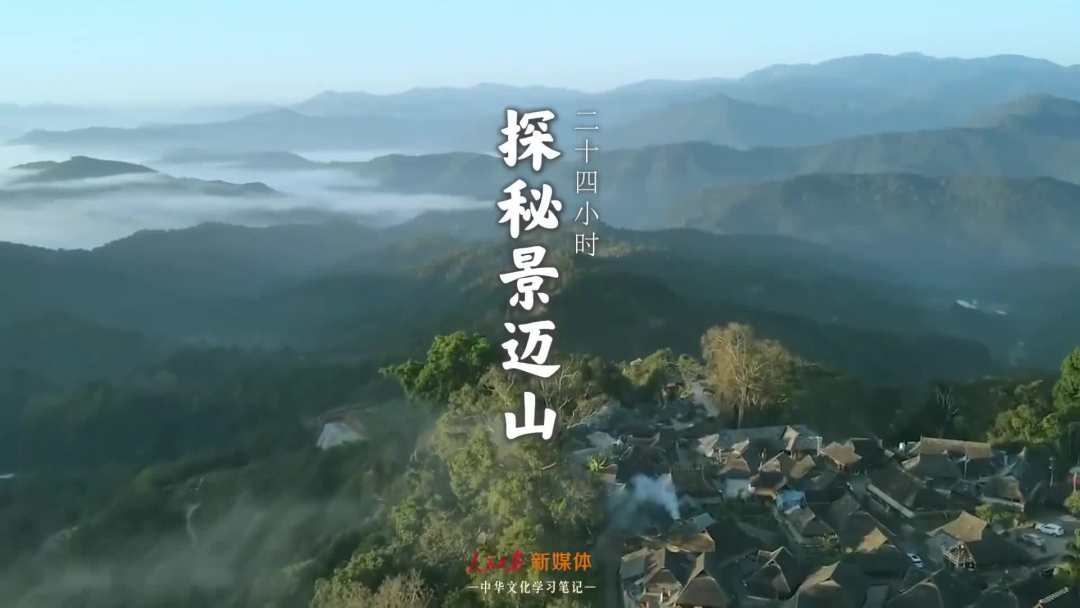 景邁山是個(gè)什么山?航拍云南普洱森林里的世界遺產(chǎn)