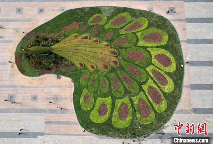 圖為航拍花壇。(無人機(jī)照片) 翟羽佳 攝