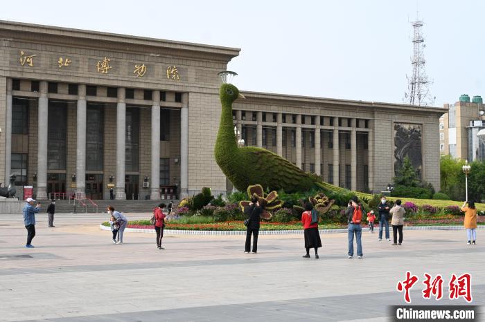 圖為游客在花壇前拍照打卡?！〉杂鸺?攝