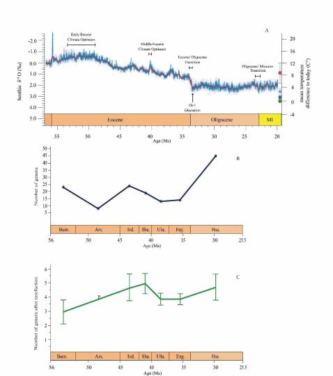 早始新世至早漸新世東亞嚙齒類屬級多樣性變化?！≈锌圃汗偶棺邓?供圖