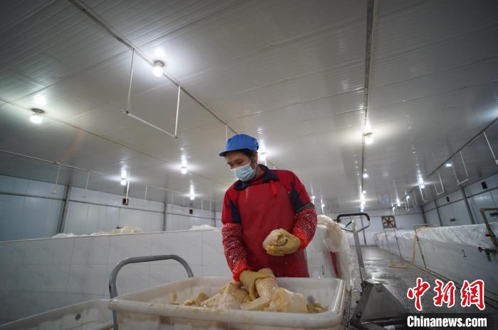 圖為一名工人正在查看酸筍腌制效果?！№f國(guó)政 攝