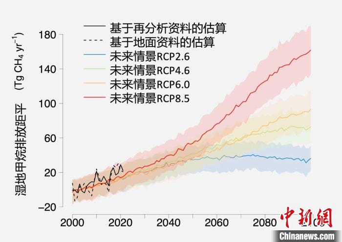 基于觀測的濕地甲烷排放變化與未來氣候變化情景下估算的對比。　中科院青藏高原所 供圖