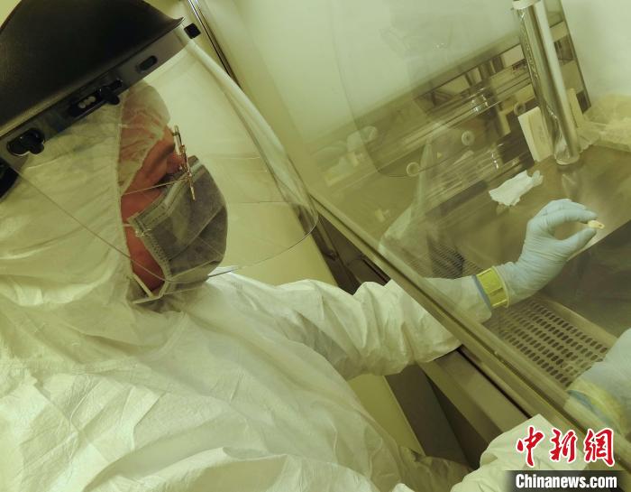 Elena Essel在凈室中處理鹿牙墜飾(圖片來自馬克斯·普朗克演化人類學(xué)研究所)。　施普林格·自然 供圖