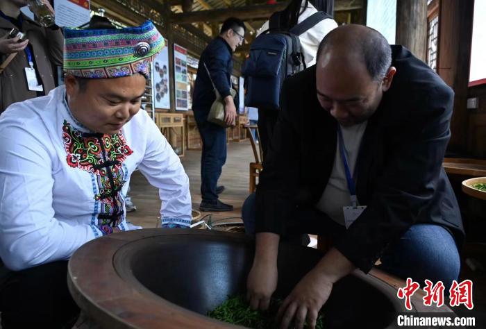 東盟國(guó)家媒體記者了解制茶工藝?！堊?攝