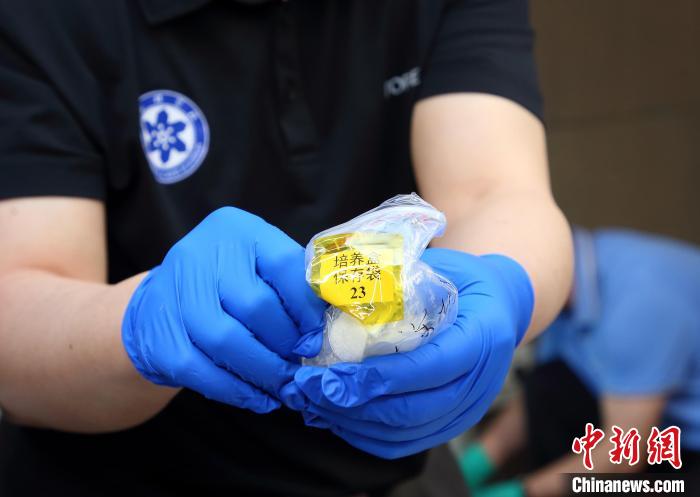 隨神舟十五號(hào)返回地面的空間科學(xué)實(shí)驗(yàn)樣品?！≈锌圃嚎臻g應(yīng)用中心 供圖