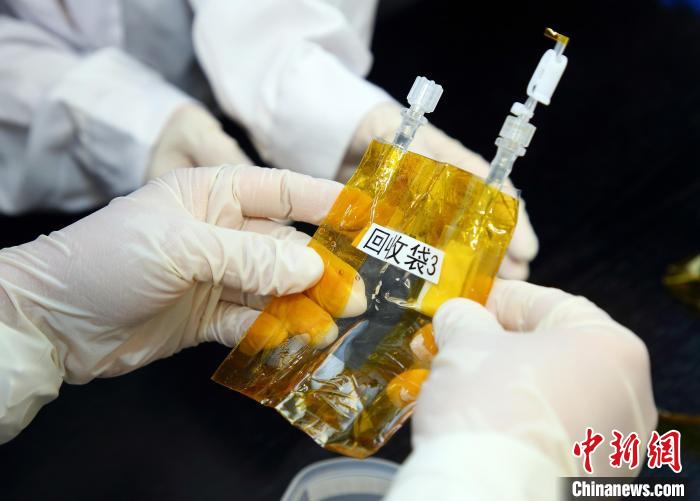 隨神舟十五號(hào)返回地面的空間科學(xué)實(shí)驗(yàn)樣品?！≈锌圃嚎臻g應(yīng)用中心 供圖