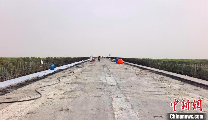 工作人員正在橋面上緊張有序地施工?！∈酚窠?攝