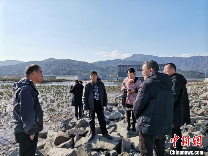 浙江海洋生態(tài)觀察：智慧大腦如何解鎖藍色發(fā)展密碼？