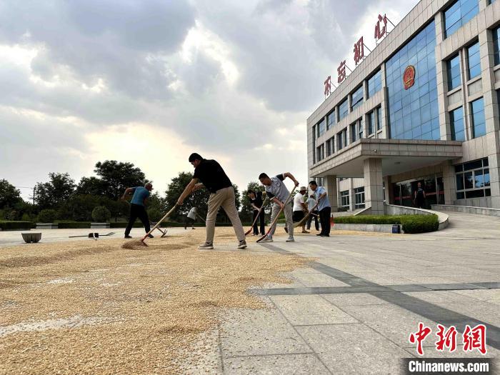 平原縣組織志愿者幫助農(nóng)民晾曬小麥?！垈?攝