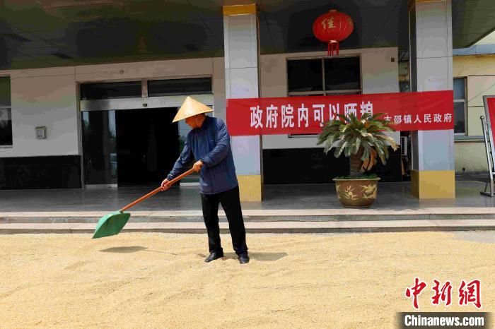 村民在棗莊市嶧城區(qū)古邵鎮(zhèn)政府大院內(nèi)晾曬糧食。　胡瑾瑜 　攝