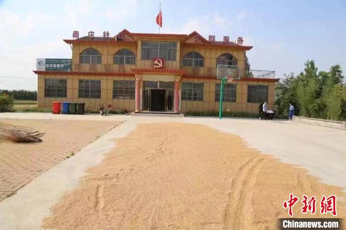 農(nóng)民在邳莊鎮(zhèn)尚莊村黨群服務(wù)中心大院里曬糧?！≠Z萌 攝
