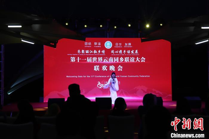 圖為第十一屆世界云南同鄉(xiāng)聯(lián)誼大會舉辦聯(lián)歡晚會?！〈抻澜?攝