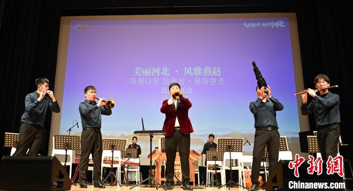 圖為音樂會現(xiàn)場?！∈谞栔袊幕行墓﹫D