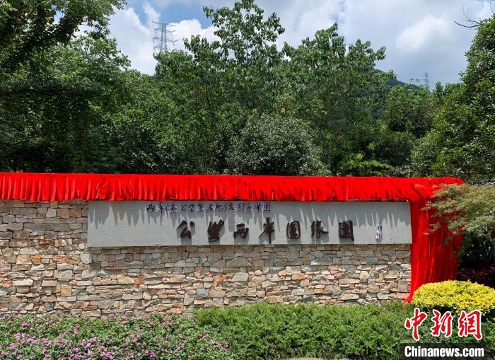 “公望兩岸圓緣園”開園?！」溻?攝