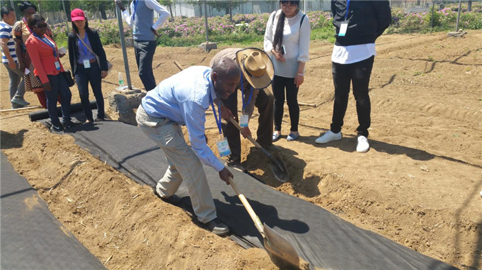 孫釗現(xiàn)場指導農(nóng)民耕種。受訪者供圖