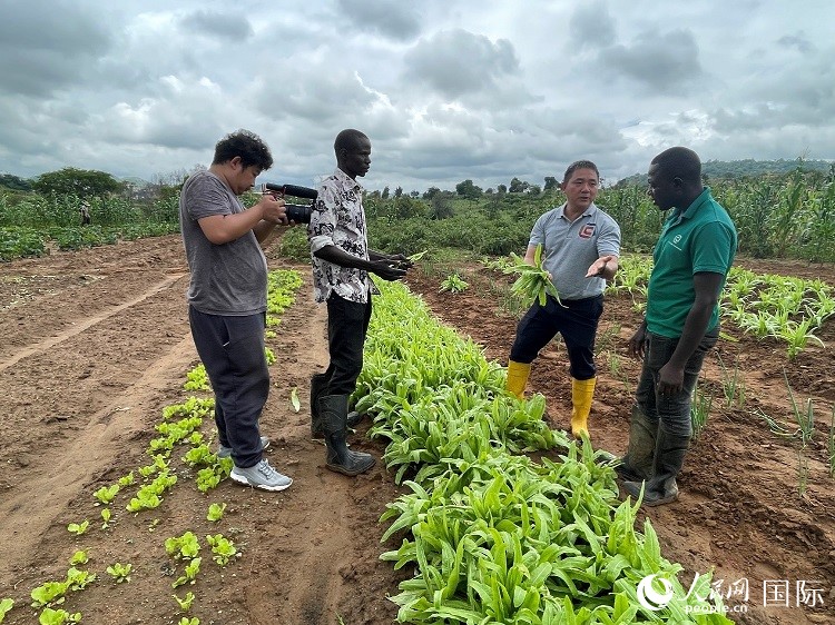 人民網(wǎng)記者走進(jìn)尼日利亞農(nóng)業(yè)技術(shù)示范中心。人民網(wǎng)記者 趙艷紅攝