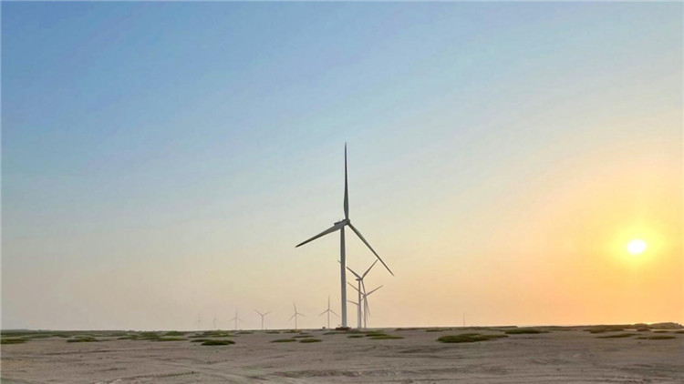圖為阿聯(lián)酋風(fēng)電示范項(xiàng)目在阿布扎比薩爾巴尼亞斯島上的風(fēng)電場。 中國電建供圖