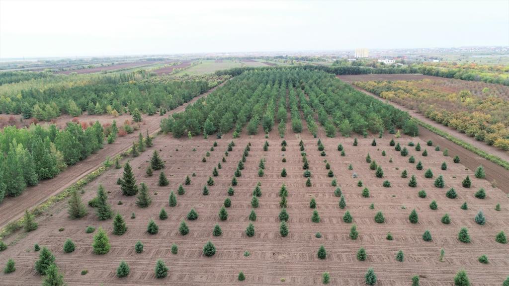 這是2023年9月11日在哈薩克斯坦首都阿斯塔納拍攝的一處植物種質資源苗圃（無人機照片）。新華社發(fā)（法爾哈特·圖克諾夫 攝）