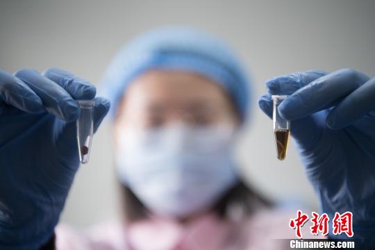 資料圖。韋亮 攝