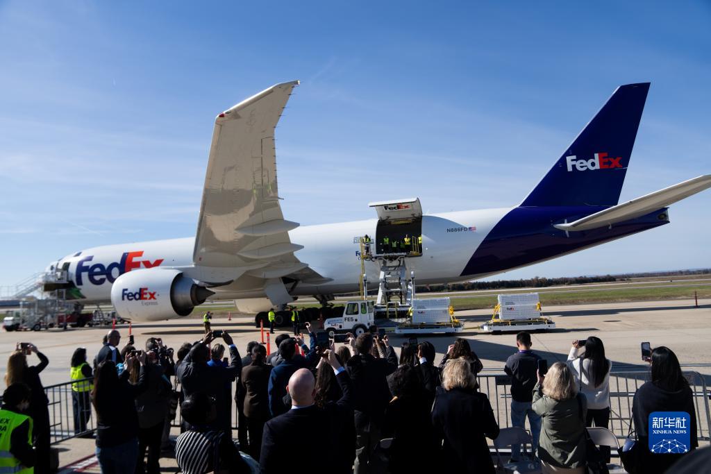 11月8日，在美國弗吉尼亞州的華盛頓杜勒斯國際機場，裝有大熊貓的特制“旅行包廂”準備運上專機。新華社記者劉杰攝