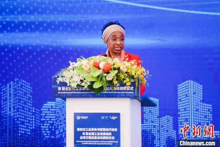 聯合國工業(yè)發(fā)展組織總干事代表兼執(zhí)行干事法圖 海達拉致辭。