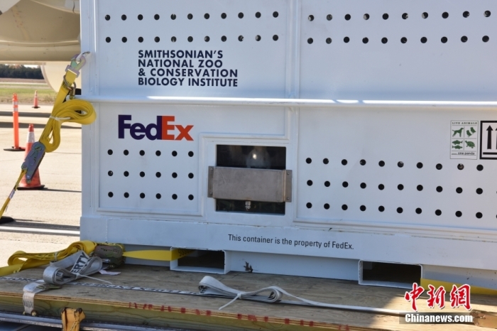 當(dāng)?shù)貢r(shí)間11月8日，美國(guó)華盛頓史密森學(xué)會(huì)國(guó)家動(dòng)物園的大熊貓“美香”“添添”和它們的幼崽“小奇跡”乘坐的專機(jī)從華盛頓杜勒斯國(guó)際機(jī)場(chǎng)起飛前往中國(guó)成都。圖為裝有大熊貓的特制“旅行箱”。<a target='_blank' href='/'><p  align=