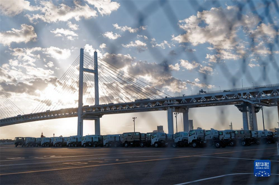 這是11月14日在日本橫濱拍攝的進(jìn)出口汽車(chē)集散場(chǎng)地。新華社記者 張笑宇 攝