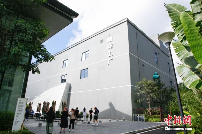 圖為采訪團一行參觀咖啡工廠。 曹淼欣 攝