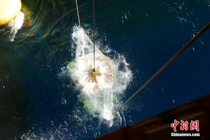 機器人入水瞬間。<a target='_blank' href='/' _fcksavedurl='/' ><p  align=