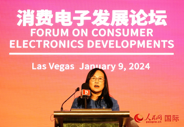 中國機電產品進出口商會副會長劉春致辭。人民網記者 鄧圩攝