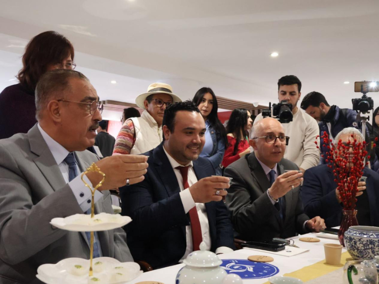 觀眾興致勃勃地體驗茶藝。陳芷珊攝