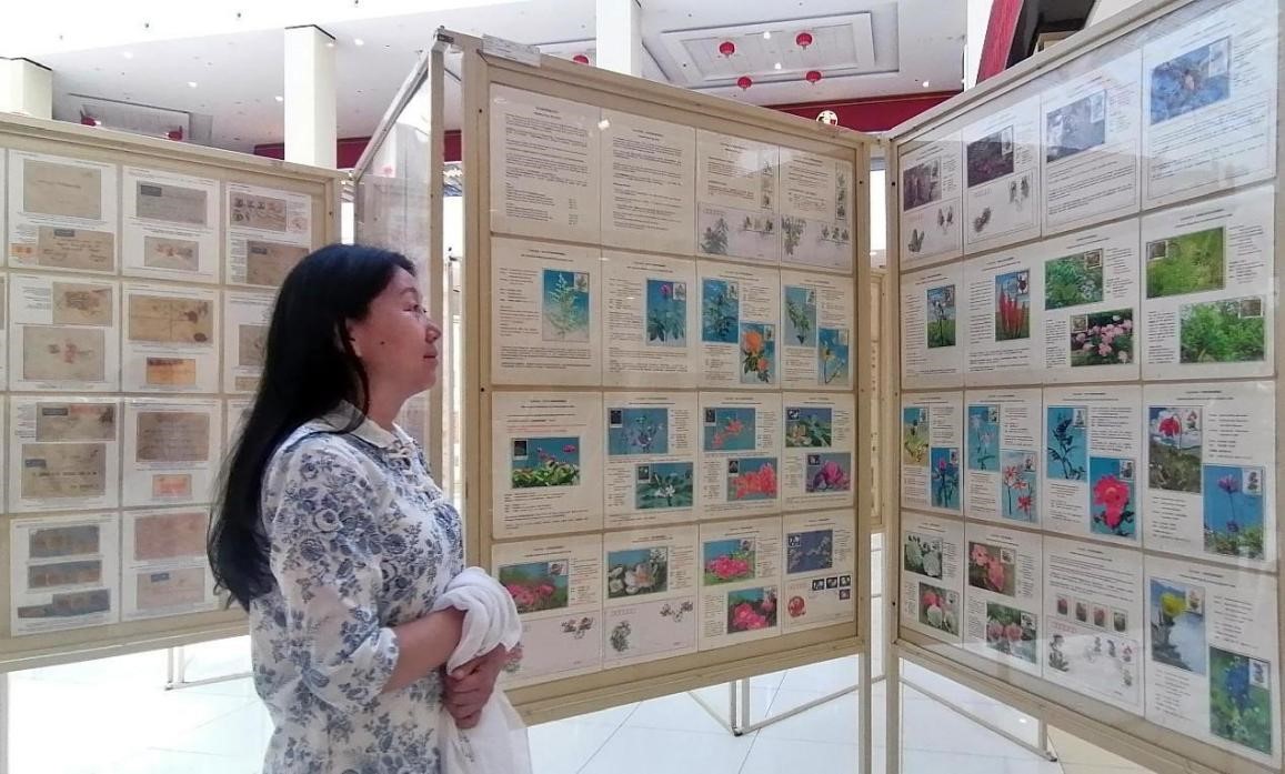 藥用植物極限片展覽場(chǎng)景。第七屆阿聯(lián)酋集郵展主辦方供圖