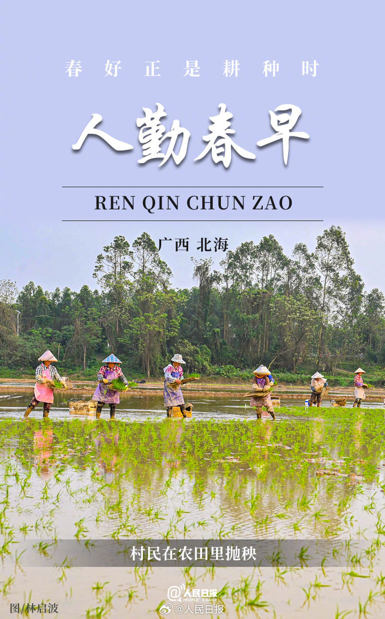 生機(jī)盎然！用課本封面打開春耕畫卷