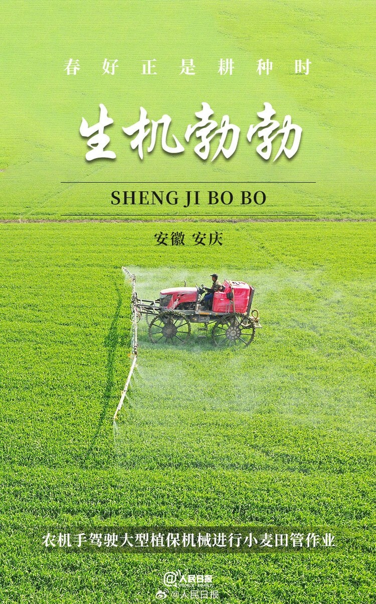 生機(jī)盎然！用課本封面打開春耕畫卷