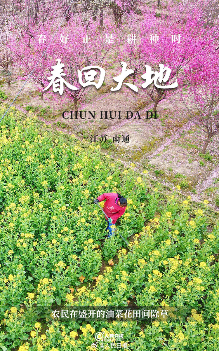 生機(jī)盎然！用課本封面打開春耕畫卷