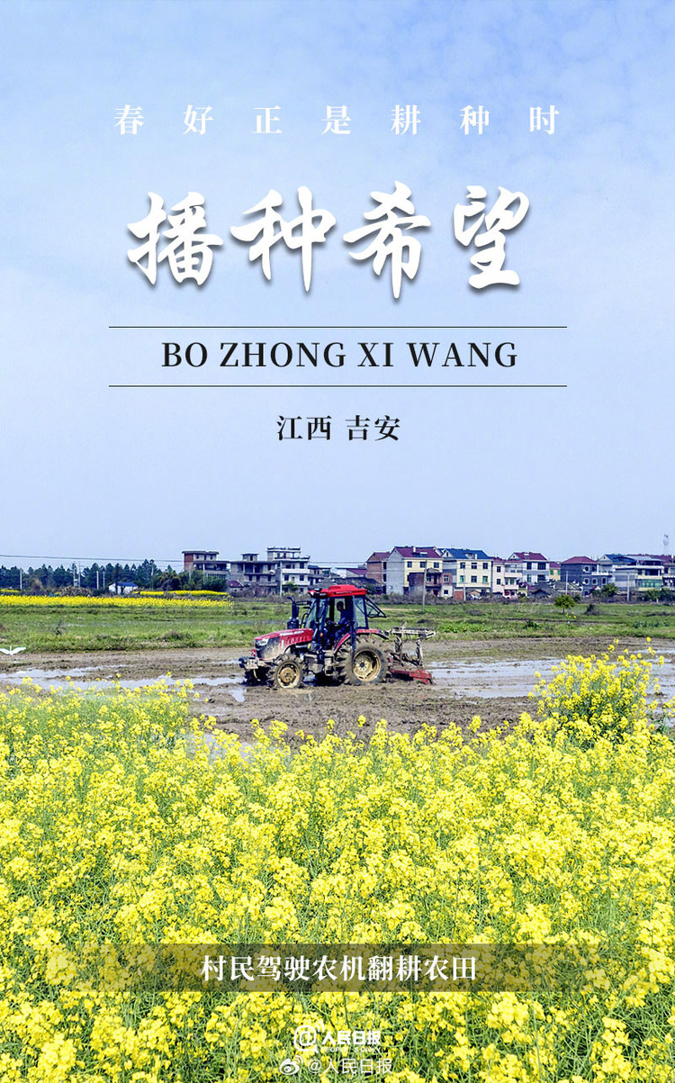 生機(jī)盎然！用課本封面打開春耕畫卷