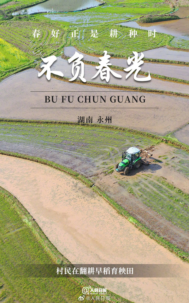 生機(jī)盎然！用課本封面打開春耕畫卷