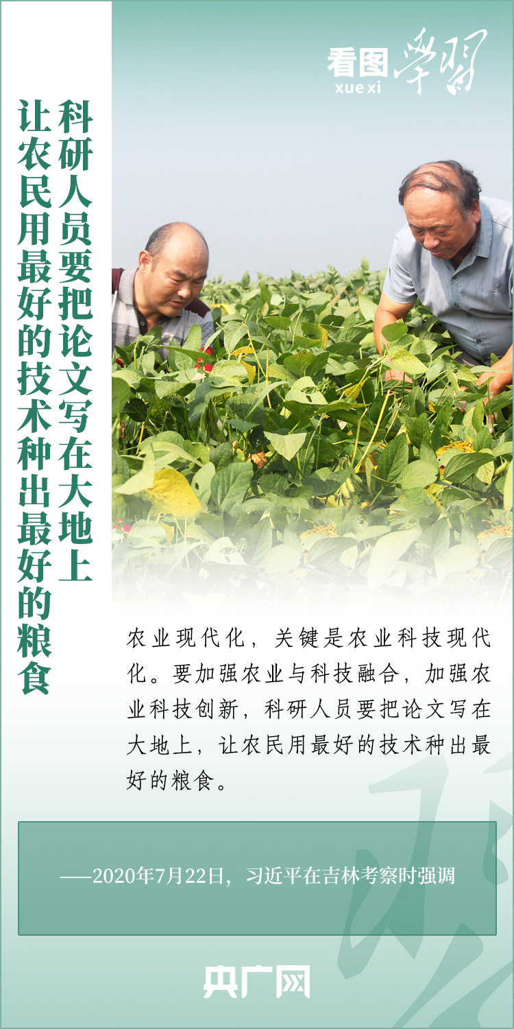看圖學習丨推廣良田、良種、良法、良機 給農(nóng)業(yè)現(xiàn)代化插上科技的翅膀