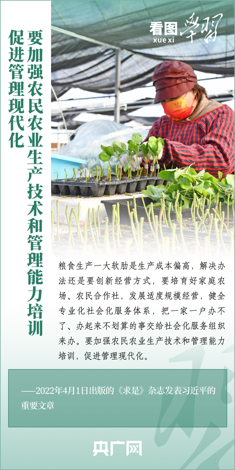 看圖學習丨推廣良田、良種、良法、良機 給農(nóng)業(yè)現(xiàn)代化插上科技的翅膀