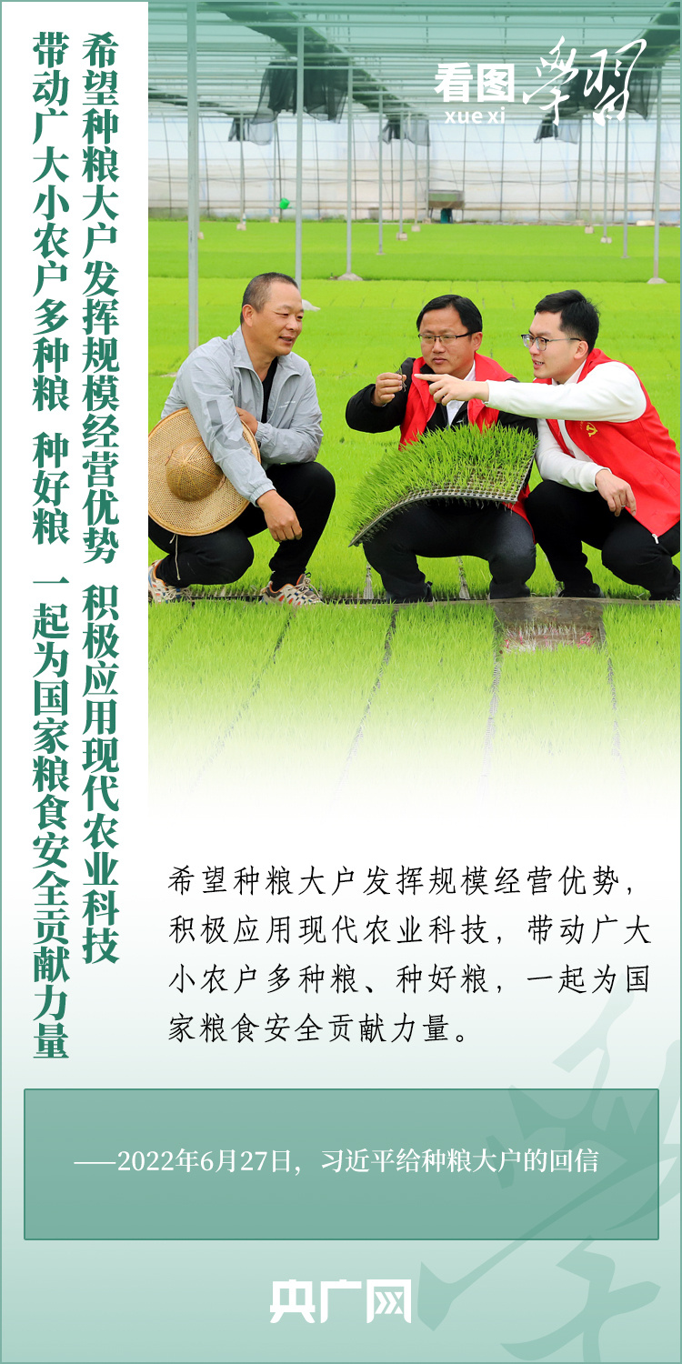 看圖學習丨推廣良田、良種、良法、良機 給農(nóng)業(yè)現(xiàn)代化插上科技的翅膀